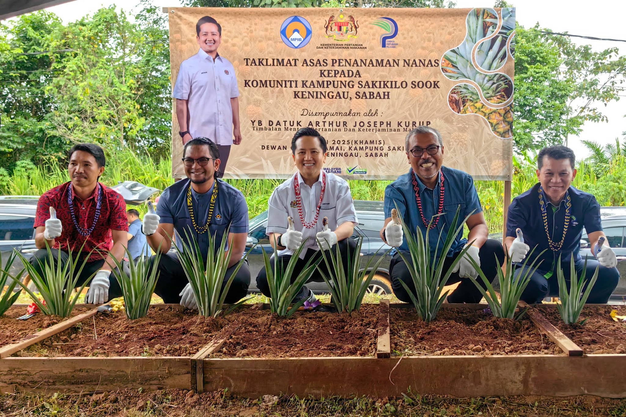 KPKM Salur RM1 Juta Mulakan Projek Tanaman Nanas MD2 Di Sabah