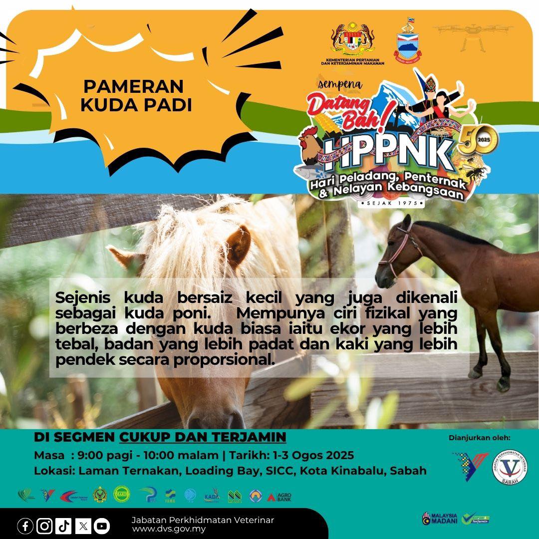 Segmen Cukup dan Terjamin di Laman Ternakan