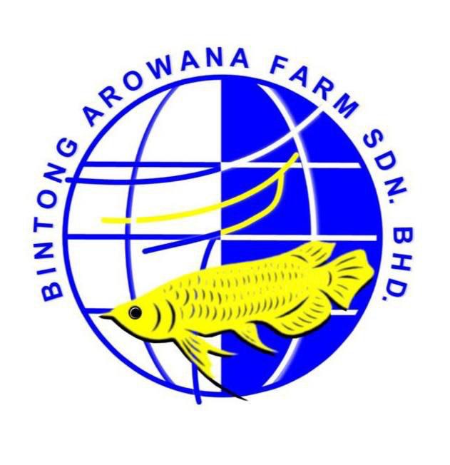 BINTONG AROWANA FARM SDN BHD